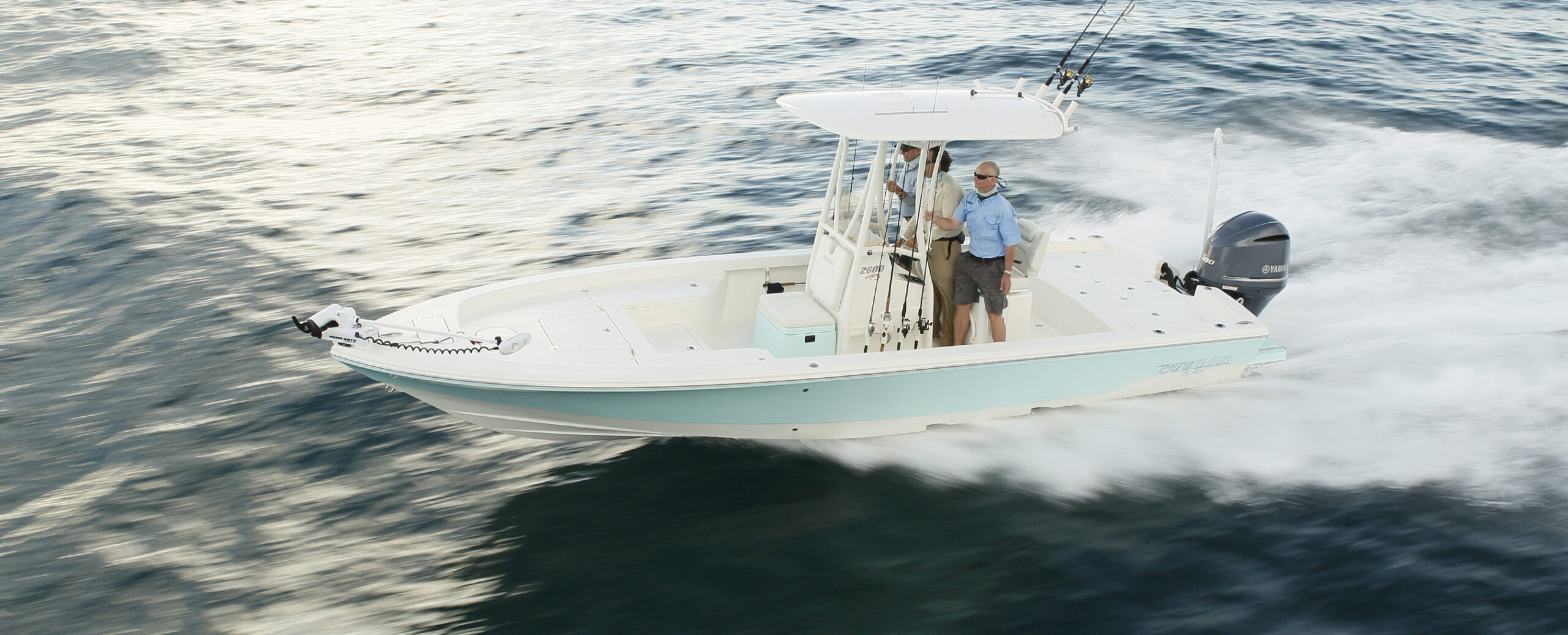 cobia-header